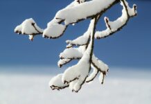 Luna februarie va aduce contraste termice în întreaga țară Foto: Pixabay