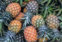Ananasul, fructul care era cândva închiriat pentru a demonstra statut social