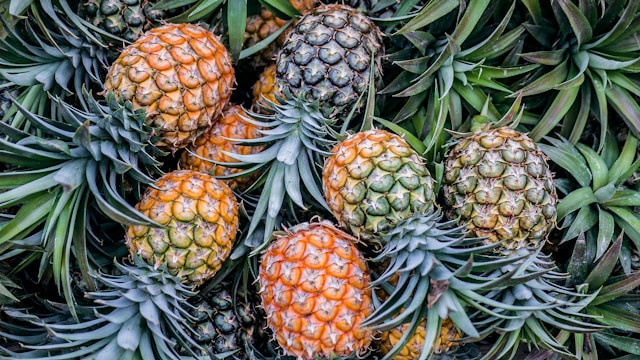 Ananas - Foto Phoenix Han - Unsplash