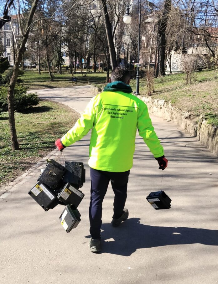 Deratizare Compania Municipală Eco Igienizare