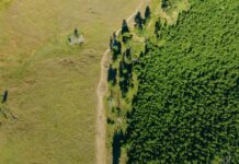 Captarea carbonului: soluție reală sau iluzie tehnologică în lupta cu emisiile globale?