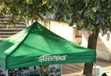 Greenpeace pierde un verdict de 345 de milioane de dolari în procesul Dakota Access Pipeline: ce înseamnă pentru activismul de mediu global