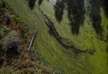 Poluare cu petrol în Dâmbovița: sol contaminat pe 400 de metri pătrați, amendă de 100.000 de lei