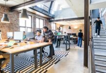 Startup-urile climatice: boom investițional sau bulă speculativă în economia verde?