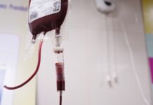 O proteină legată de moartea celulară accelerează îmbătrânirea sângelui — și poate fi blocată terapeutic