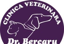 Clinica Veterinară Dr. Bercaru — locul din București unde chirurgia veterinară românească a scris istorie. Și continuă! Clinica Veterinară Dr. Bercaru