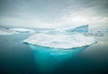 Știai că ghețarul Hektoria din Antarctica a pierdut 8 kilometri în doar două luni — cel mai rapid colaps glaciar înregistrat vreodată?