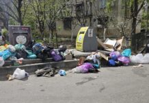 Compostul obligatoriu în blocuri a intrat în vigoare. Coșurile nu