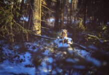 Finlanda a înregistrat cel mai cald martie din istoria măsurătorilor meteorologice