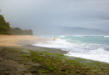 Peste 2 trilioane de galoane de apă au lovit Hawaii în martie: cele mai grave inundații din ultimele două decenii