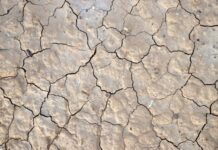 Banatul fierbe de două ori: cel mai cald sol din România, dar fără picătură de apă în el