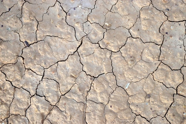 Secetă pedologică în Banat - Foto Craig Manners Unsplash