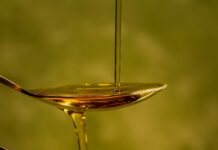 Uleiul de măsline extravirgin protejează creierul prin intermediul microbiomului intestinal — primul studiu prospectiv uman care confirmă legătura