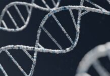 Moleculele de ADN care opresc colesterolul rău fără statine: cum funcționează și de ce agită piața farmaceutică