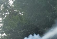 CMEIB începe primul tratament împotriva țânțarilor adulți în București. 14 intervenții sunt programate în sezonul cald
