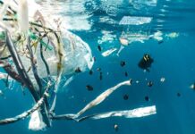 Ocean Cleanup a strâns 50 milioane kg plastic — System 03 curăță teren fotbal în 5 secunde