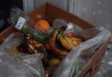 Știai că mâncarea pe care o arunci săptămâna asta poluează mai mult decât zborul tău de vacanță? Și nimeni nu vorbește despre asta