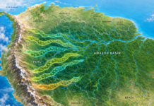 Coridoare climatice în Amazon: speciile caută drumuri spre zone mai răcoroase