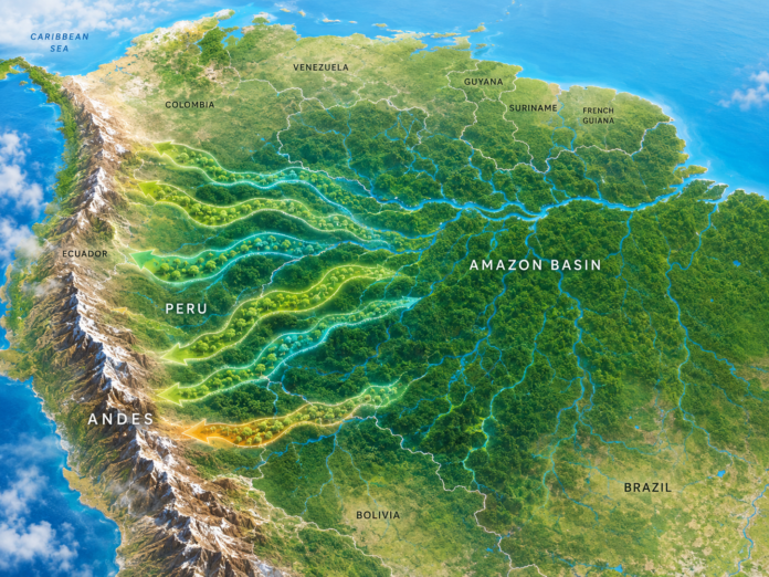Bazinul Amazonian