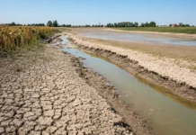 Secetă în agricultură: Râul Po se usucă înainte de iulie, iar sarea intră peste fermele Italiei