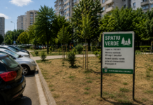 Orașele românești au vândut spațiul verde. Legea e veche de 18 ani. Nimeni nu o respectă