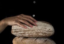 România exportă grâu și importă pâine. Paradoxul alimentar care costă 4,8 miliarde de euro pe an