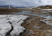 Permafrost și CO₂: veste bună sau falsă liniște climatică?