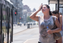 Canicula și umiditatea: de ce 35°C pot fi mai periculoase decât 40°C Caniculă și umiditate