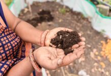 Amoniacul, poluantul ignorat: de ce agricultura rămâne marea problemă a aerului european
