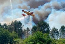 Prevenirea incendiilor: Europa cumpără avioane, dar lasă combustibilul focului în pădure