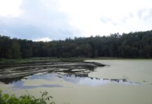 Balta Comana se micșorează: când „Delta de lângă București” rămâne fără apă