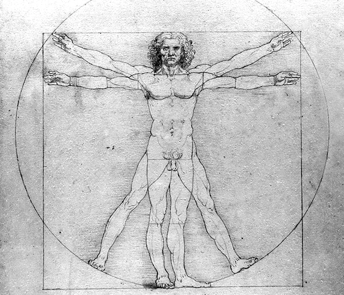 Evolutie si perfectiune - corpul uman