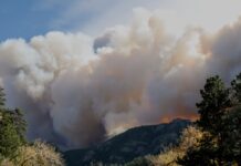 Fumul incendiilor a redus energia solară și a produs pierderi de aproape două miliarde de dolari