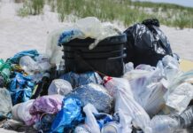 Beach, Please! și gunoiul de festival: ce rămâne pe plajă după muzică