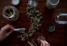 Fumatul de marijuana poate crește riscul de cancer pulmonar și ORL