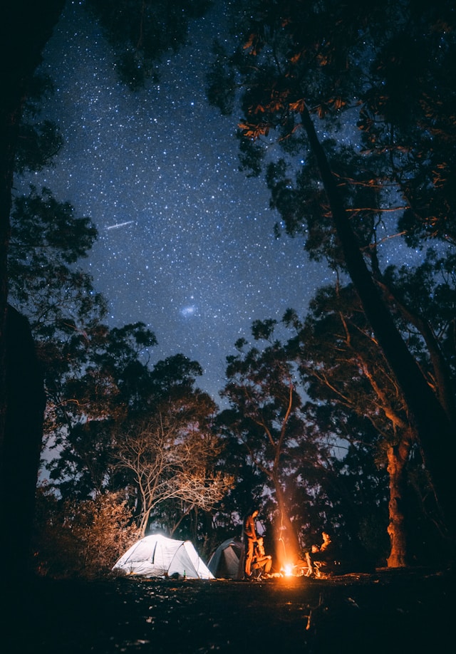 Noapte de vara in natura - Foto Jonathan Forage Unsplash