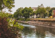 Râul Pasărea și apa menajeră: de ce poluarea micilor râuri urbane este mai gravă decât pare