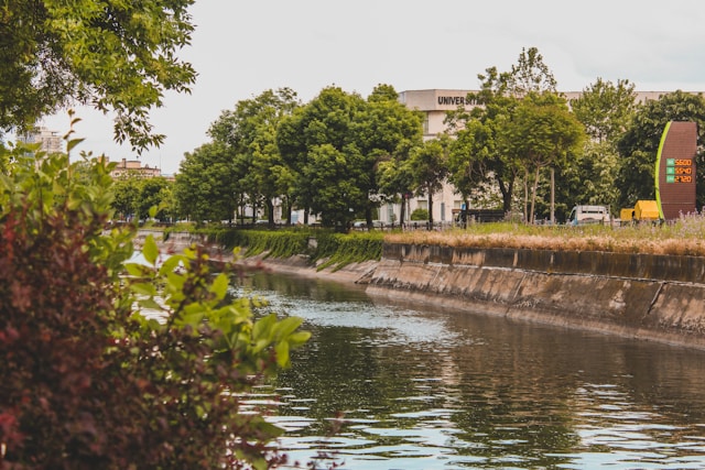Rau urban - Foto Árpád Czapp Unsplash