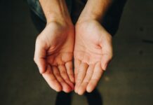 Subvențiile care plătesc poluarea: bani publici împotriva mediului