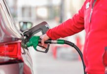Biodiesel din ulei alimentar uzat: AI caută rețeta prin care deșeul din bucătărie devine combustibil