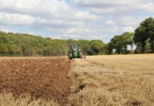 Sub fiecare pas trăiește o lume. Agricultura o poate distruge înainte să-i afle numele