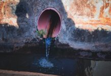 Canicula intră în canalizarea Londrei: seceta readuce mirosul care a schimbat orașul în 1858 Caniculă și canalizare de ce Londra miroase din nou - Foto TRG Unsplash