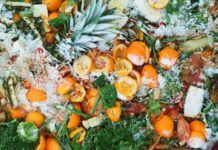 Deșeurile vegetale pot curăța apele uzate: cojile devin material pentru captarea poluanților