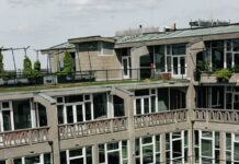 Grădinile de pe acoperiș au un ecosistem sub plante. Microbii pot funcționa aproape ca într-o grădină la sol