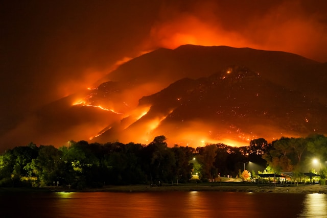 Incendii de paduri Spania - Foto Mike Newbry Unsplash