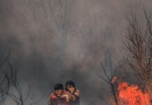 Un incendiu din 2026 reactivează războiul din 1944: muniția neexplodată explodează sub pădurea Hürtgen Incendiu padure - Foto Mikhail Serdyukov Unsplash
