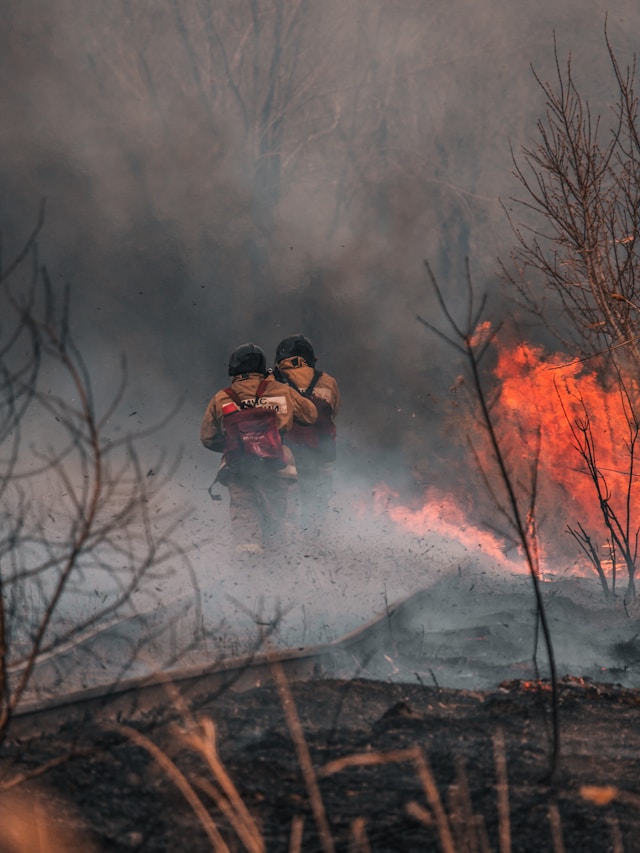 Incendiu padure - Foto Mikhail Serdyukov Unsplash Incendiu padure - Foto Mikhail Serdyukov Unsplash