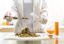 Pesticidele din mâncare: ce înseamnă de fapt când o probă „depășește limita”
