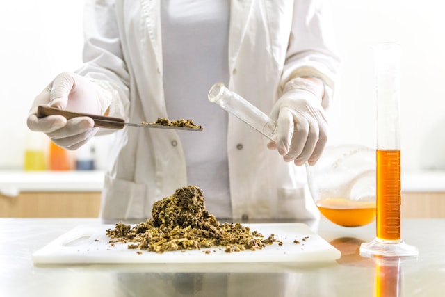 Mancare contaminate cu pesticide - Foto Bee Naturalles Unsplash