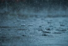 Ploi record în Japonia: 367 litri/m² pe metrul pătrat într-o zi au paralizat Chiba și aeroportul Narita Ploaie - Foto Abhishek Tewari Unsplash